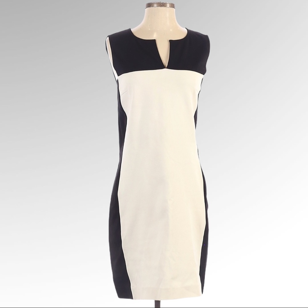 DKNY Sleeveless Color block V- Neck Sheath Dress - Picture 1 of 3